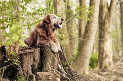 开云体育app-奇才冲垮骑士，利拉德总决赛接管，当孤胆英雄改写历史