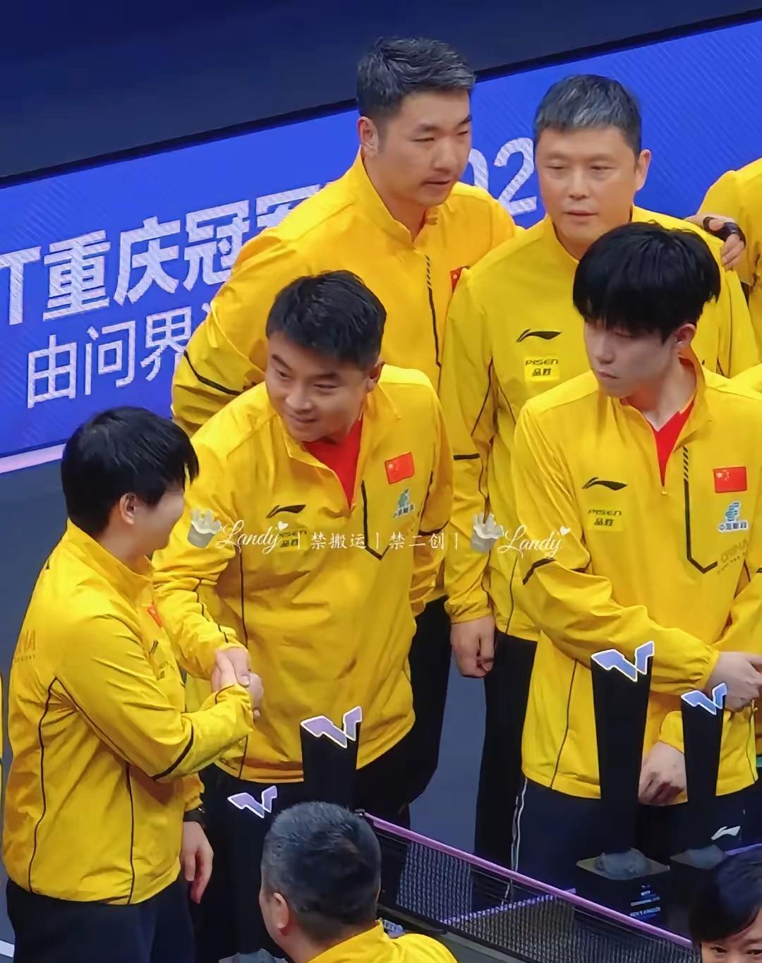 德国乒乓球队完胜英国乒乓球队，王皓关键制胜的简单介绍