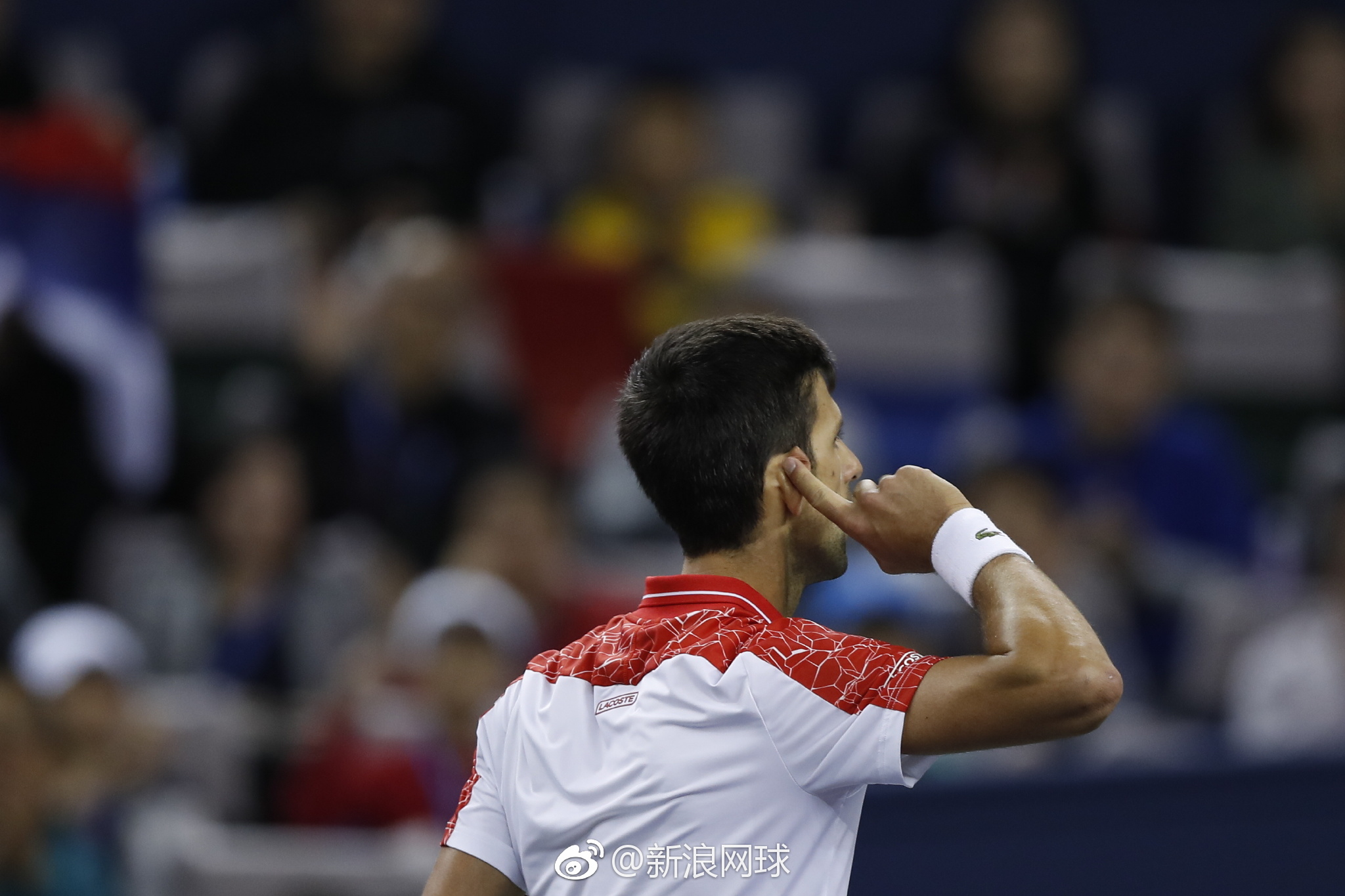 关于新疆飞豹强势反弹，豪取四连胜的信息