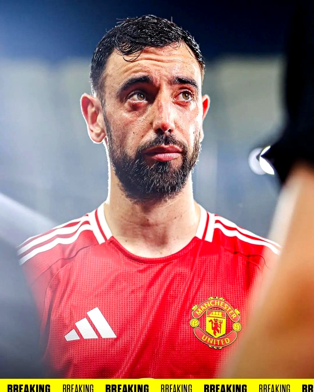 包含土耳其绝地反击塞维利亚，布鲁诺·费尔南德斯惊艳世界的词条