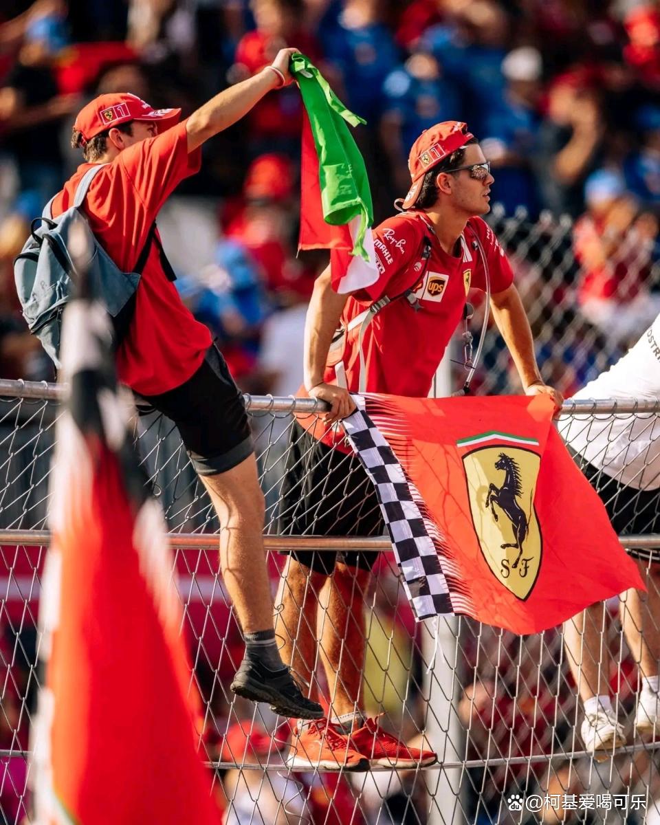 包含威廉姆斯轻取迈凯伦，汉密尔顿统治全场的词条